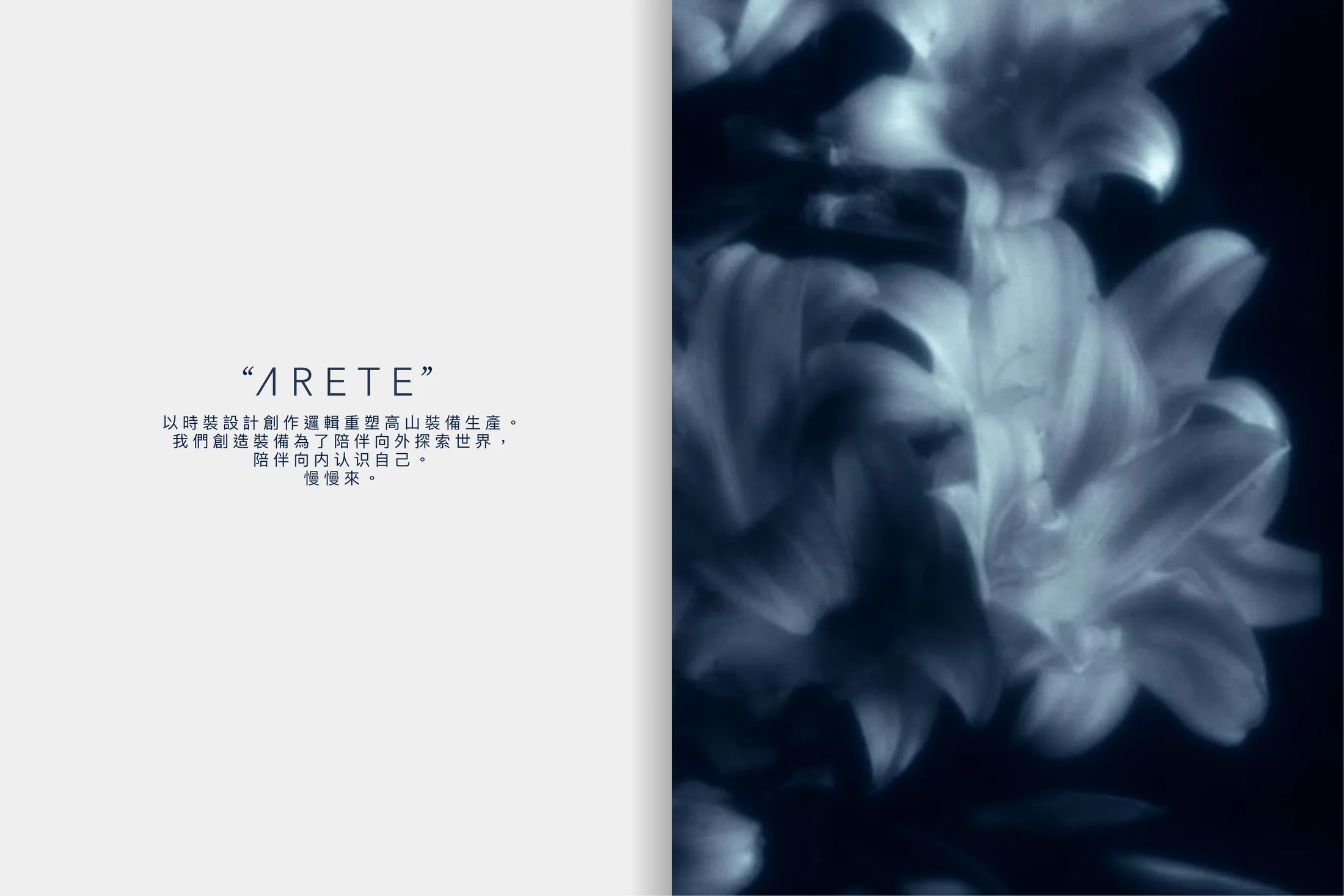 ARETE 設計創作邏辑文字與深藍色花卉微距